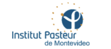 Institut Pasteur